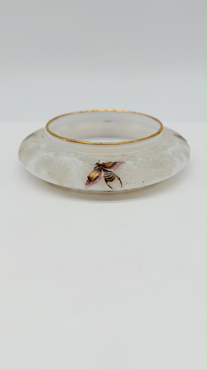 Opaline Glass Bowl By G. Brocard à Bar-sur-seine, 19th Century, With Painted Insects