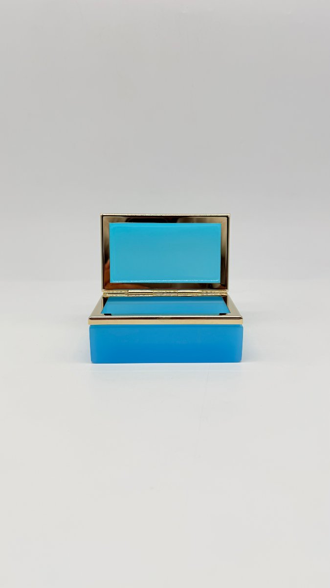 Boite rectangulaire en opaline bleu céleste et brozne doré. Epoque Napoléon III. -photo-1