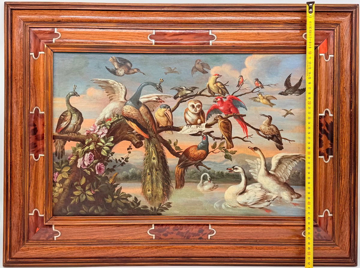 ÉCOLE EUROPÉENNE DU XIXe SIÈCLE, D'APRÈS JAN VAN KESSEL (1626-1679)  -photo-7