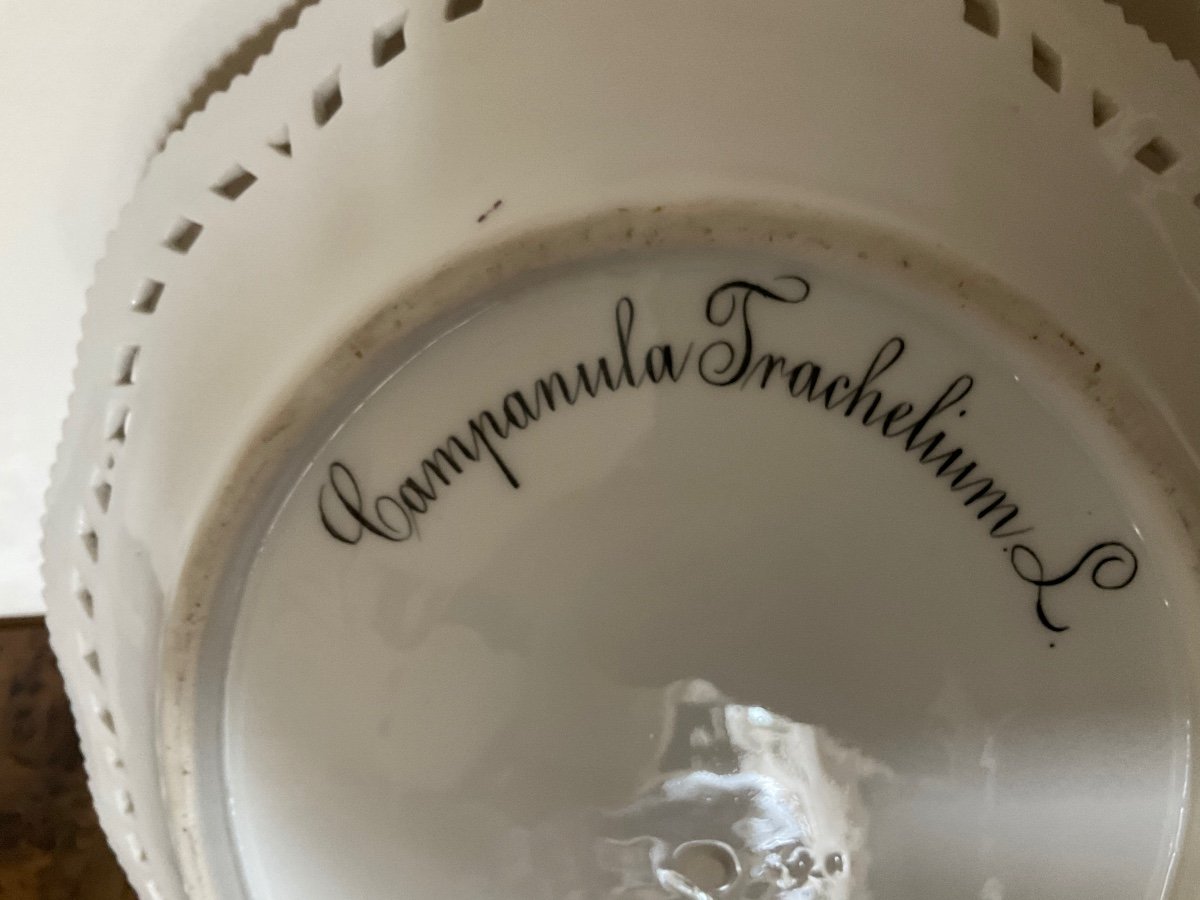 Royal Copenhagen Flora Danica Campanula Trachelium L Bellflower Oval Plate-photo-3
