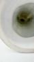 1769550-alb-6a1bad5078f11.jpg