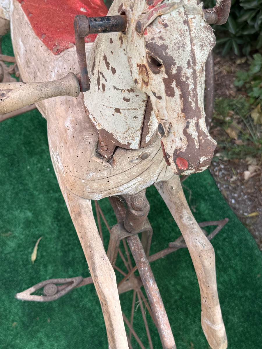 Tricycle Horse -photo-2