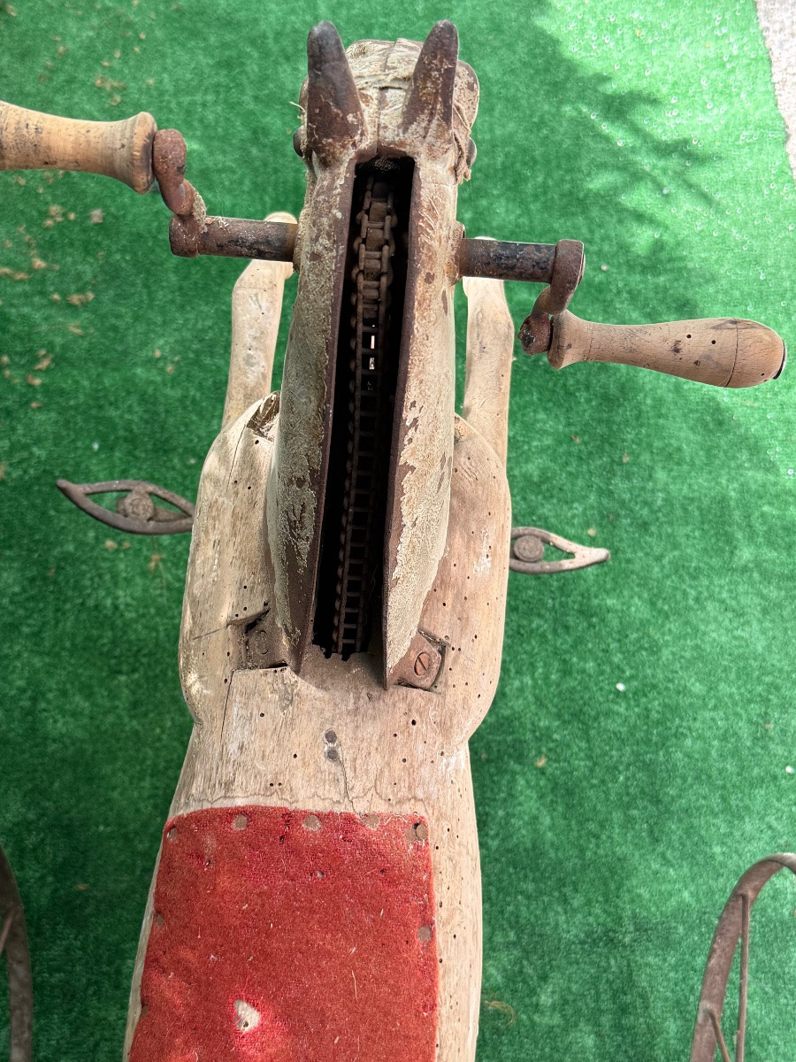 Tricycle Horse -photo-3