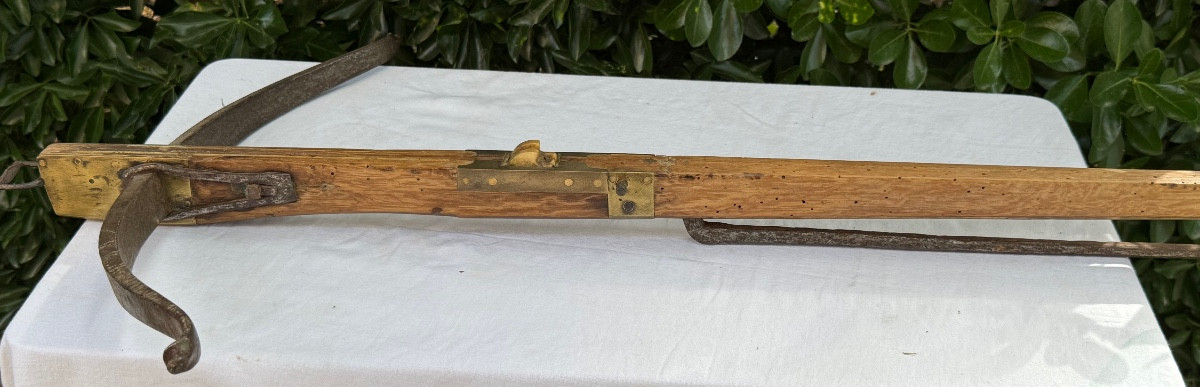 Ancient Crossbow 