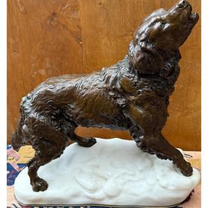 Bronze Spaniel Ch. Valton