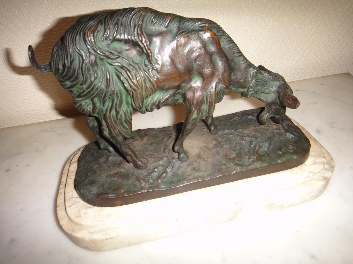 Animal Bronze