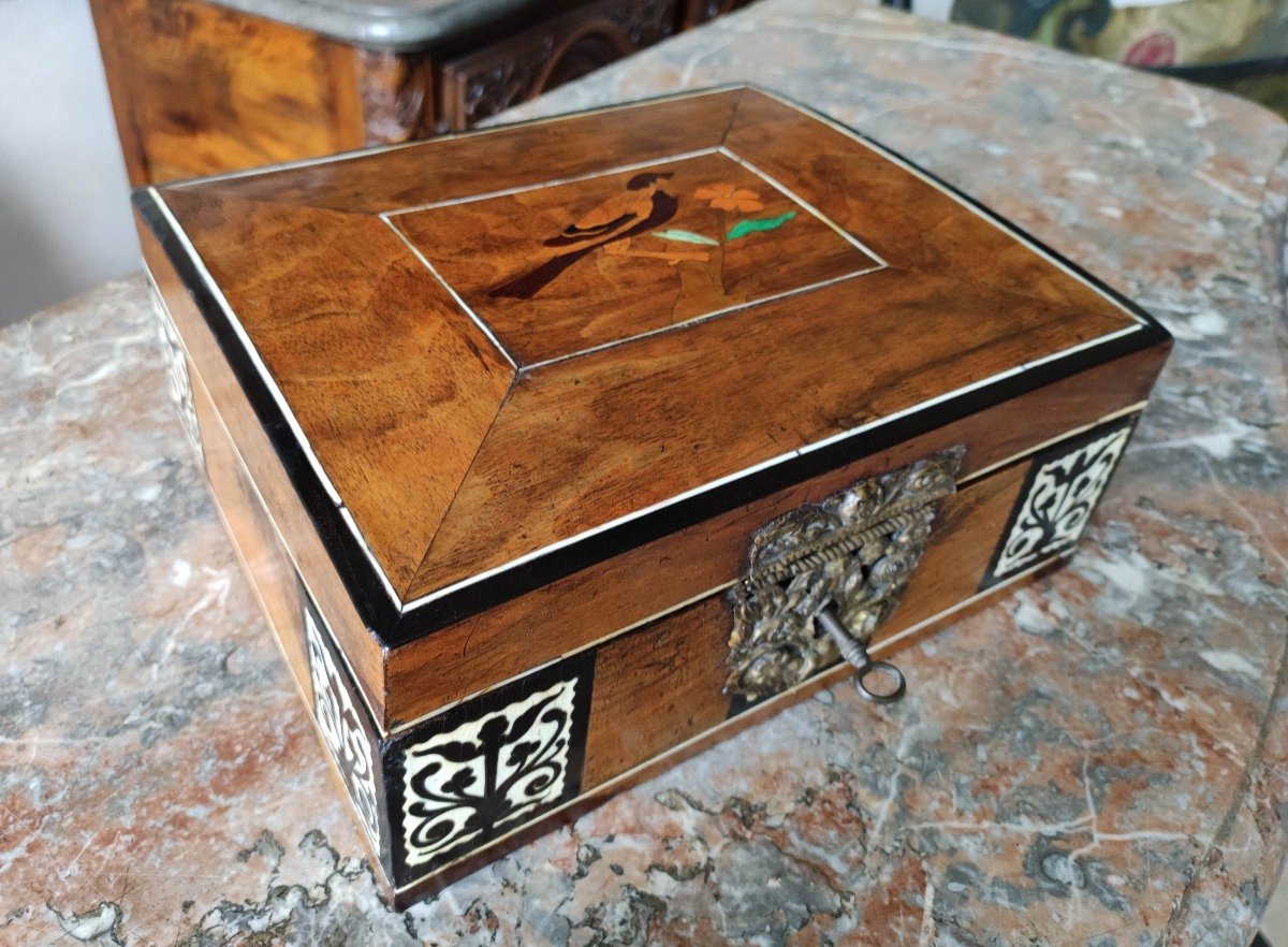 Louis XIV Box