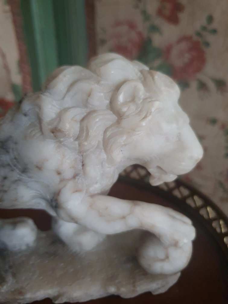 Lion Médicis vers 1800 grand tour-photo-3