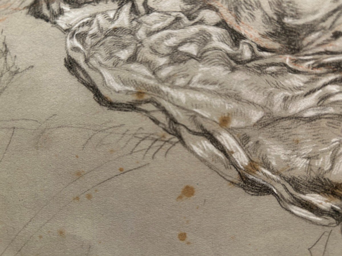 Alexander Rothaug (vienna, 1870 – 1946). Fabric Studies-photo-2