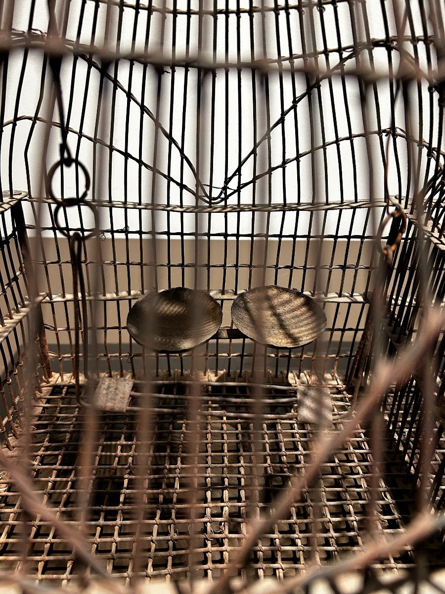 Bird Cage, 19th Century-photo-3