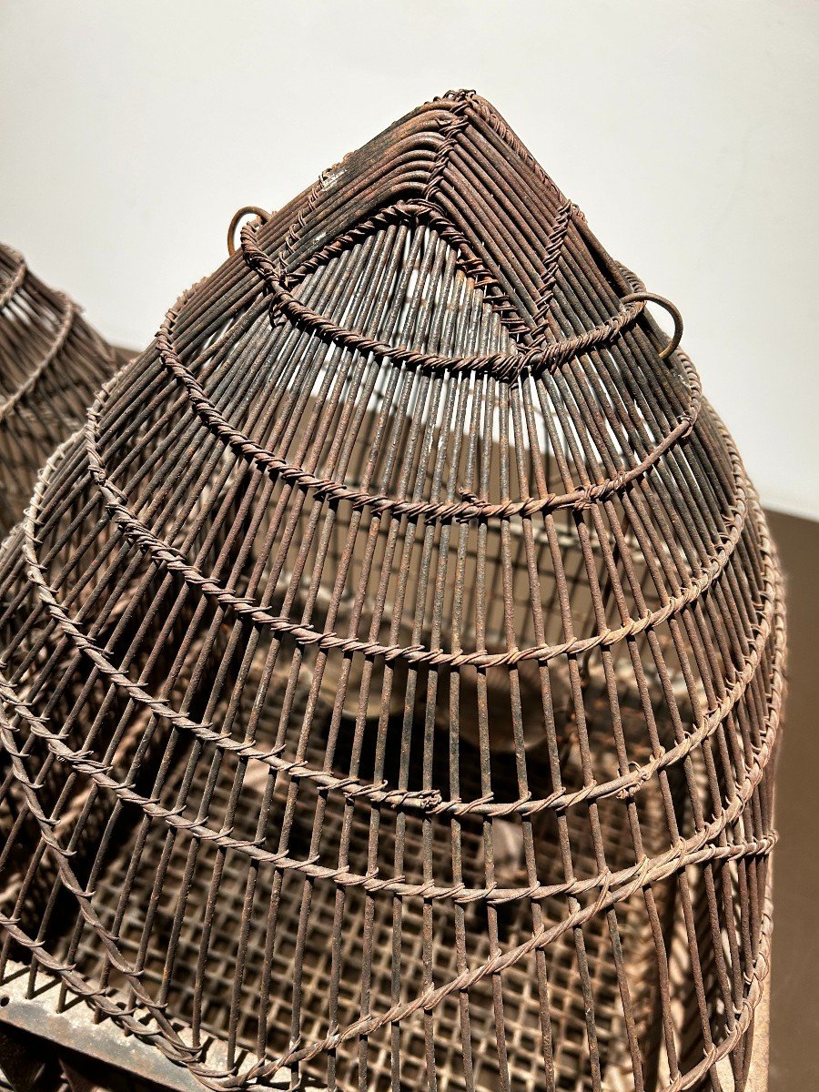 Bird Cage, 19th Century-photo-1