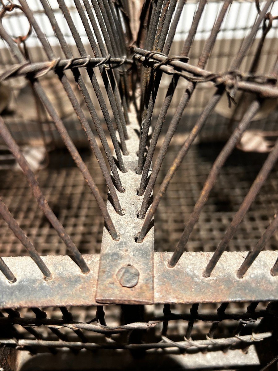 Bird Cage, 19th Century-photo-2
