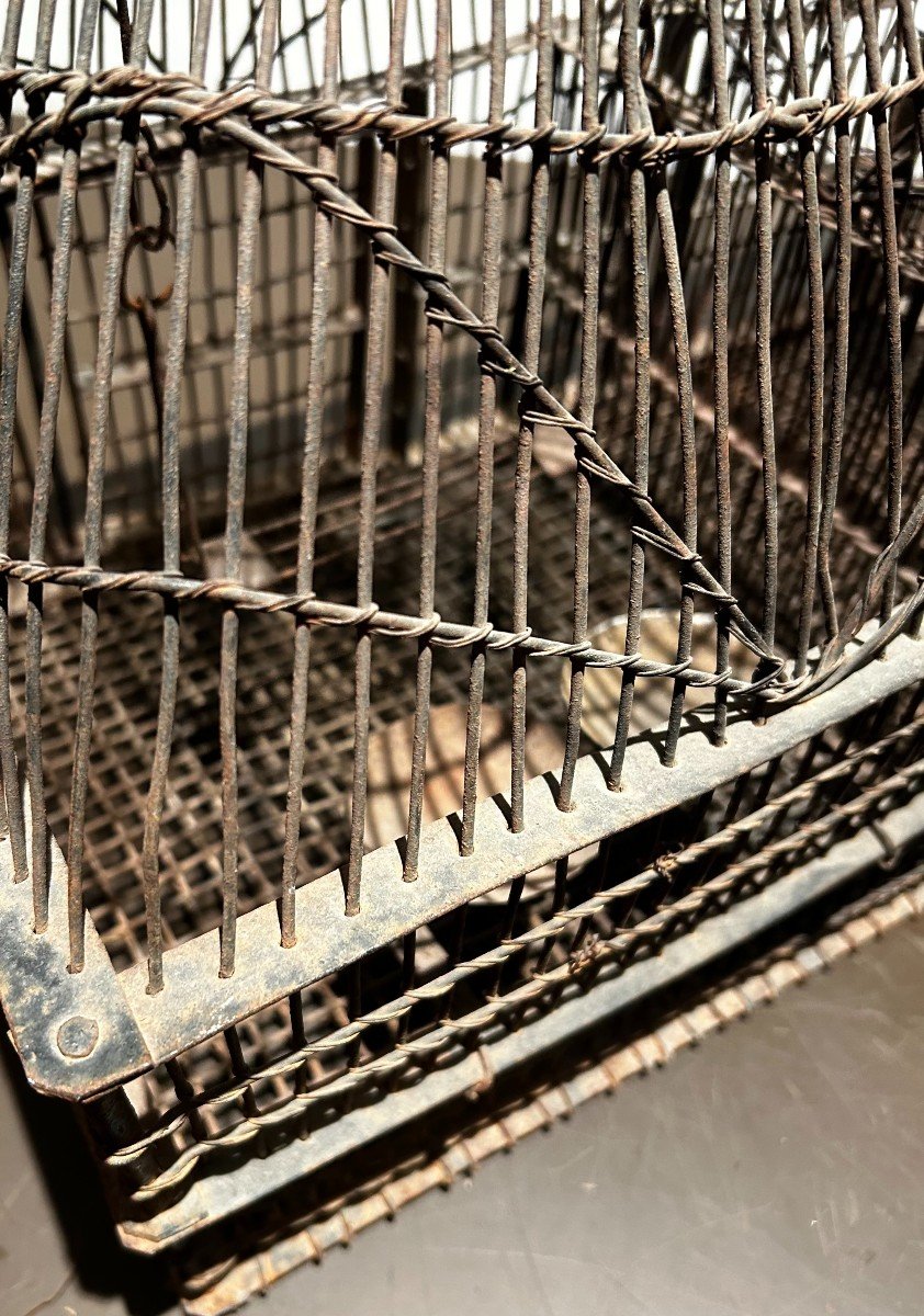 Bird Cage, 19th Century-photo-5