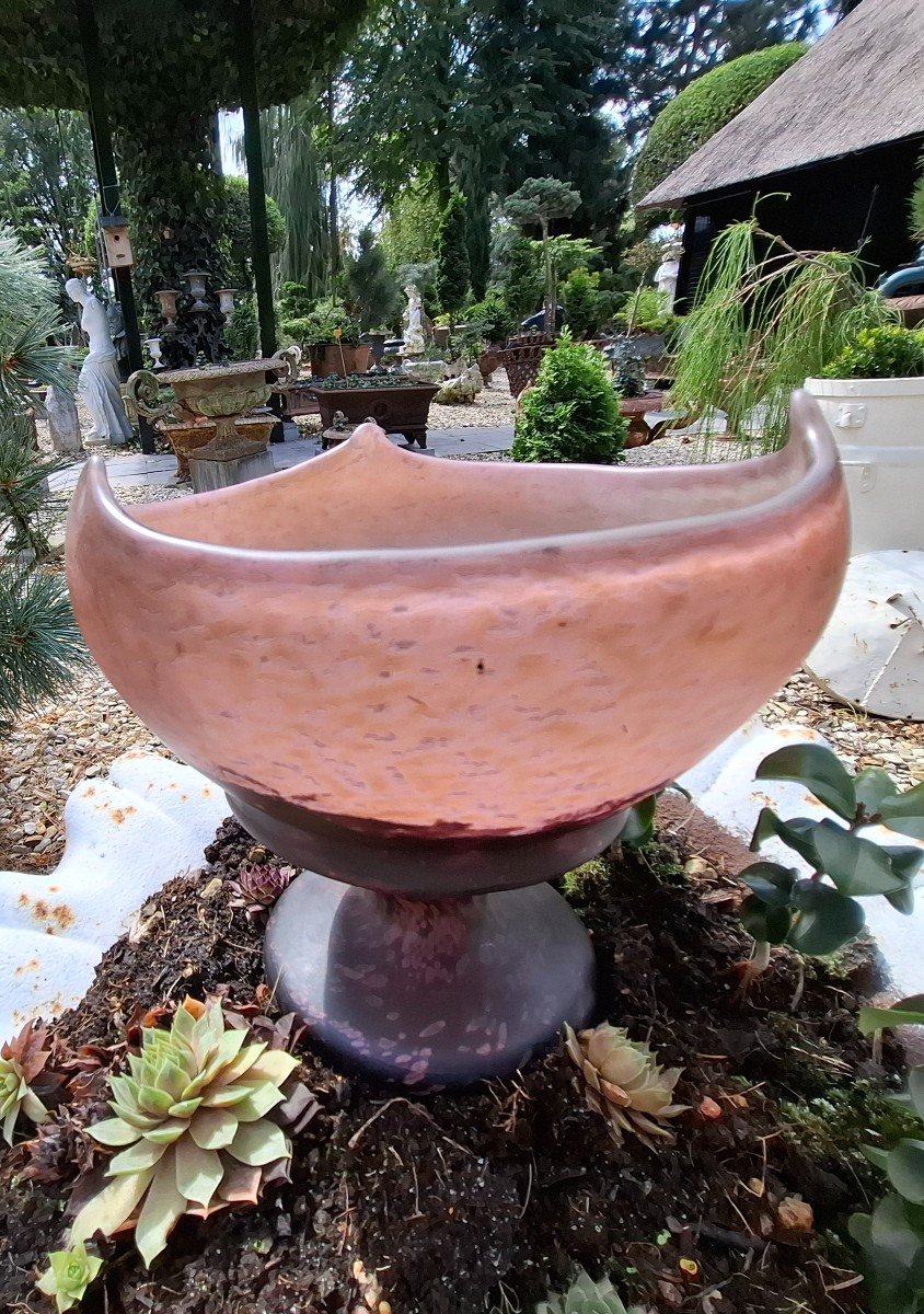 Coupe Daum-photo-3