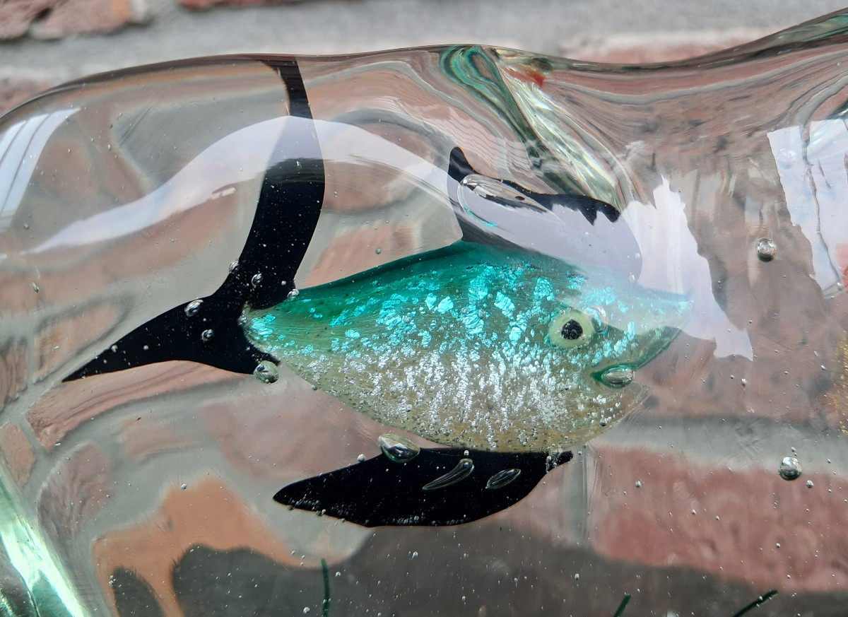 Murano Fish-photo-3