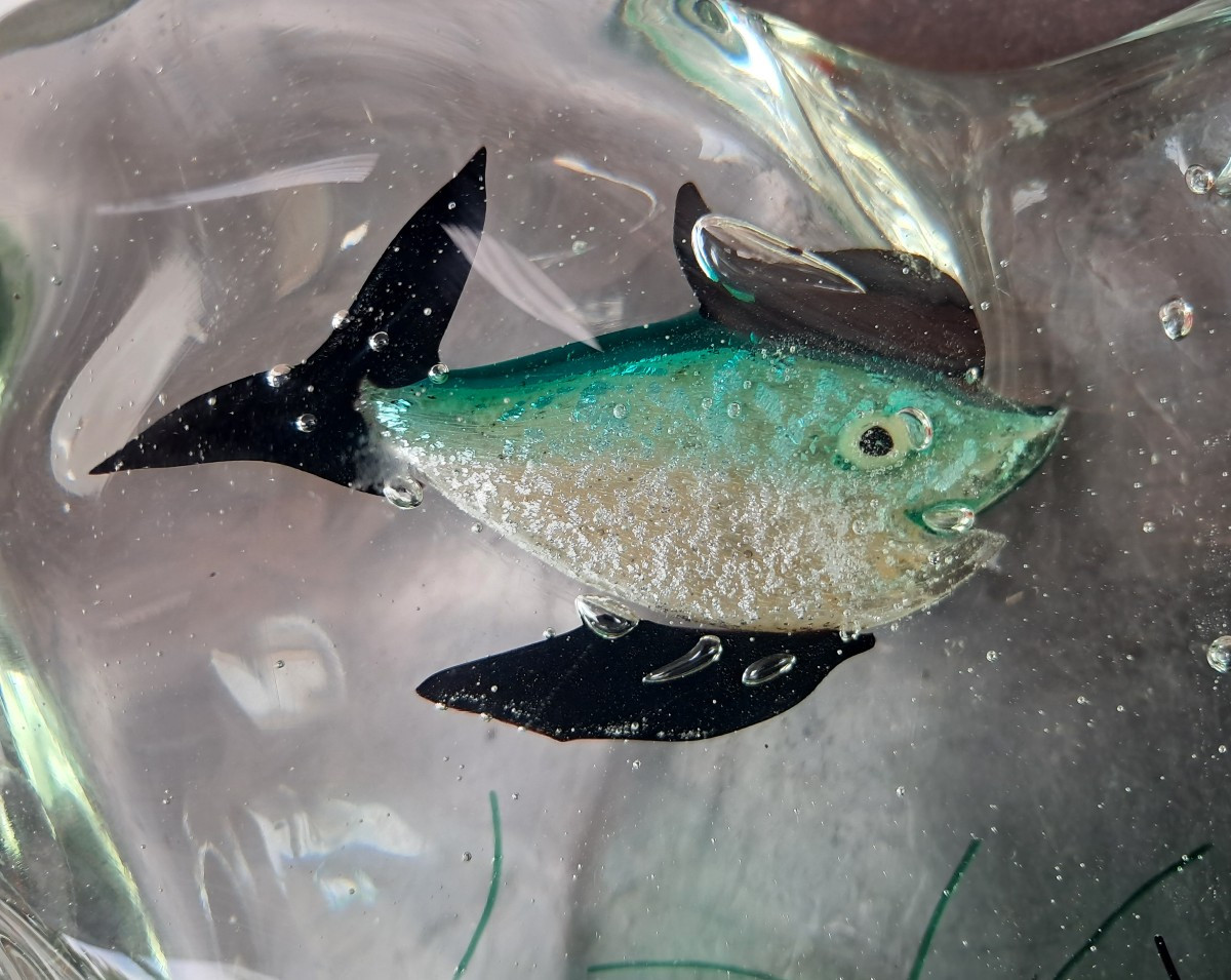 Murano Fish-photo-3