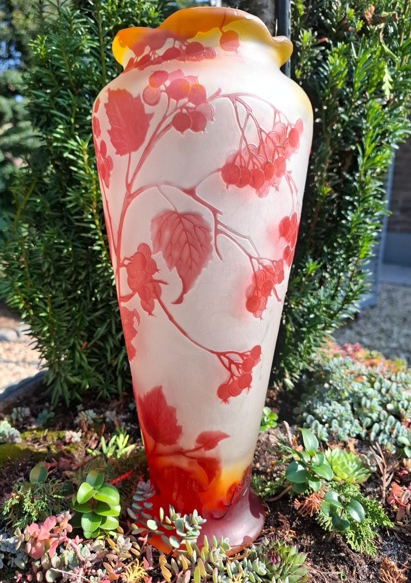 Large Gallé Vase-photo-3