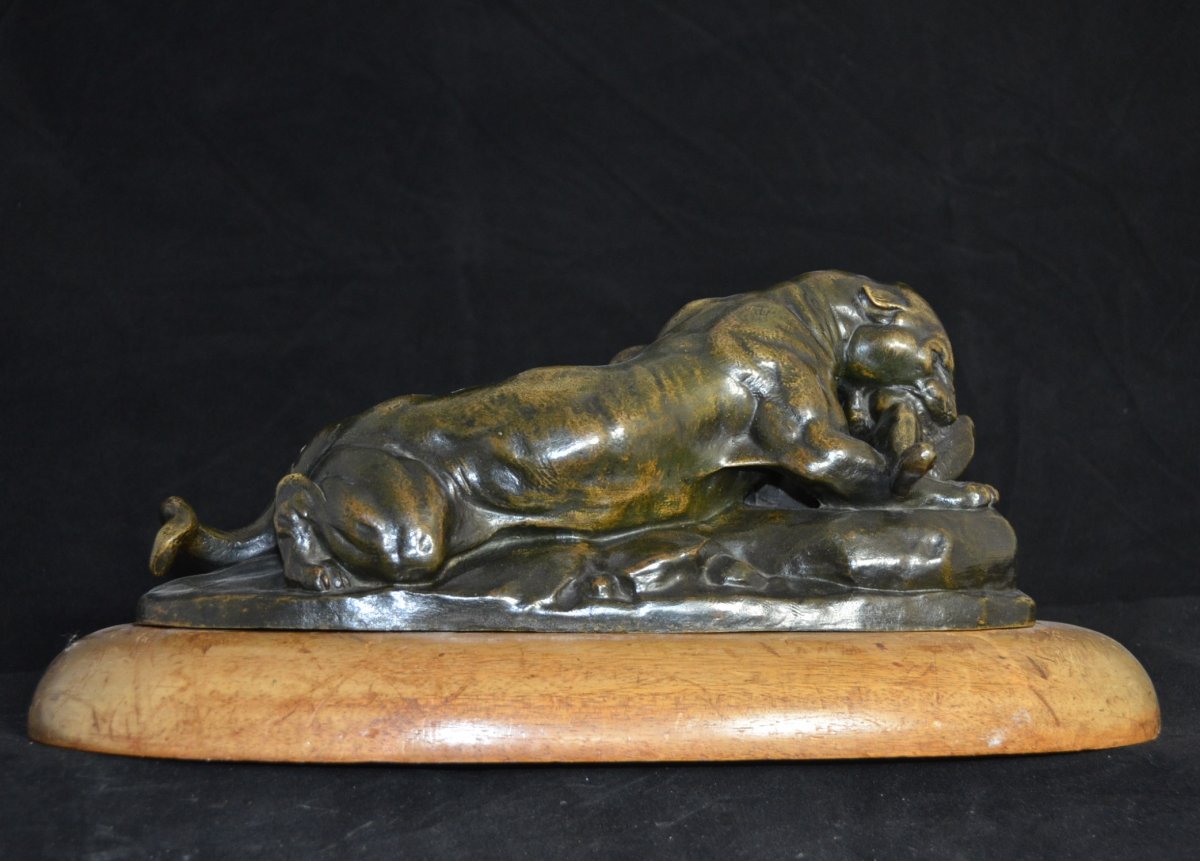 Panter Bronze. By Antoine Louis Barye