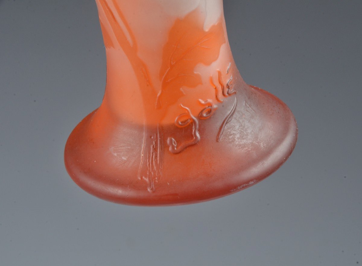 Galle Vase-photo-1