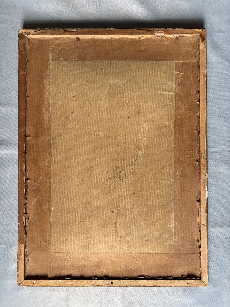 Gravure Johann Elias RIDINGER < L’Ane Africain > 18éme Siècle -photo-1