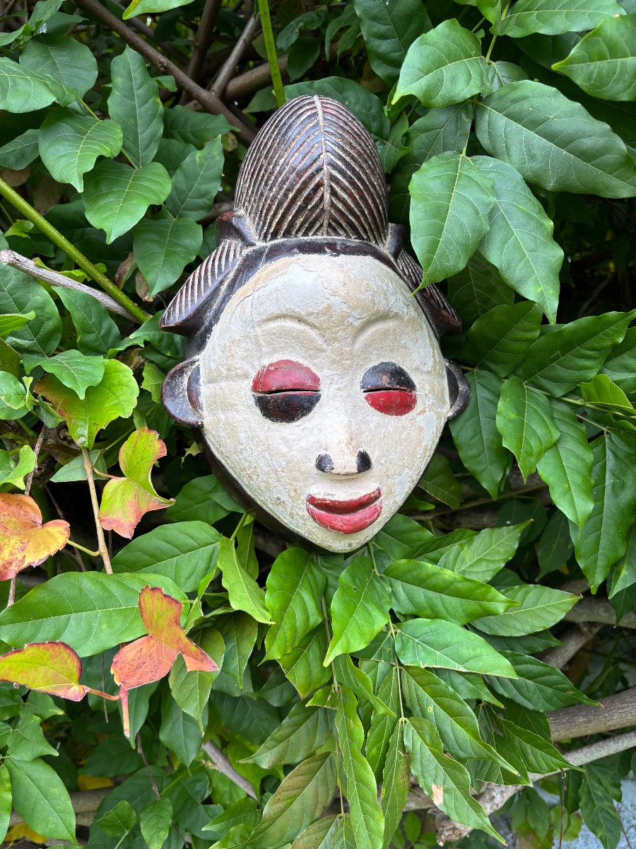 Gabon Masque Punu 20éme Siècle -photo-2