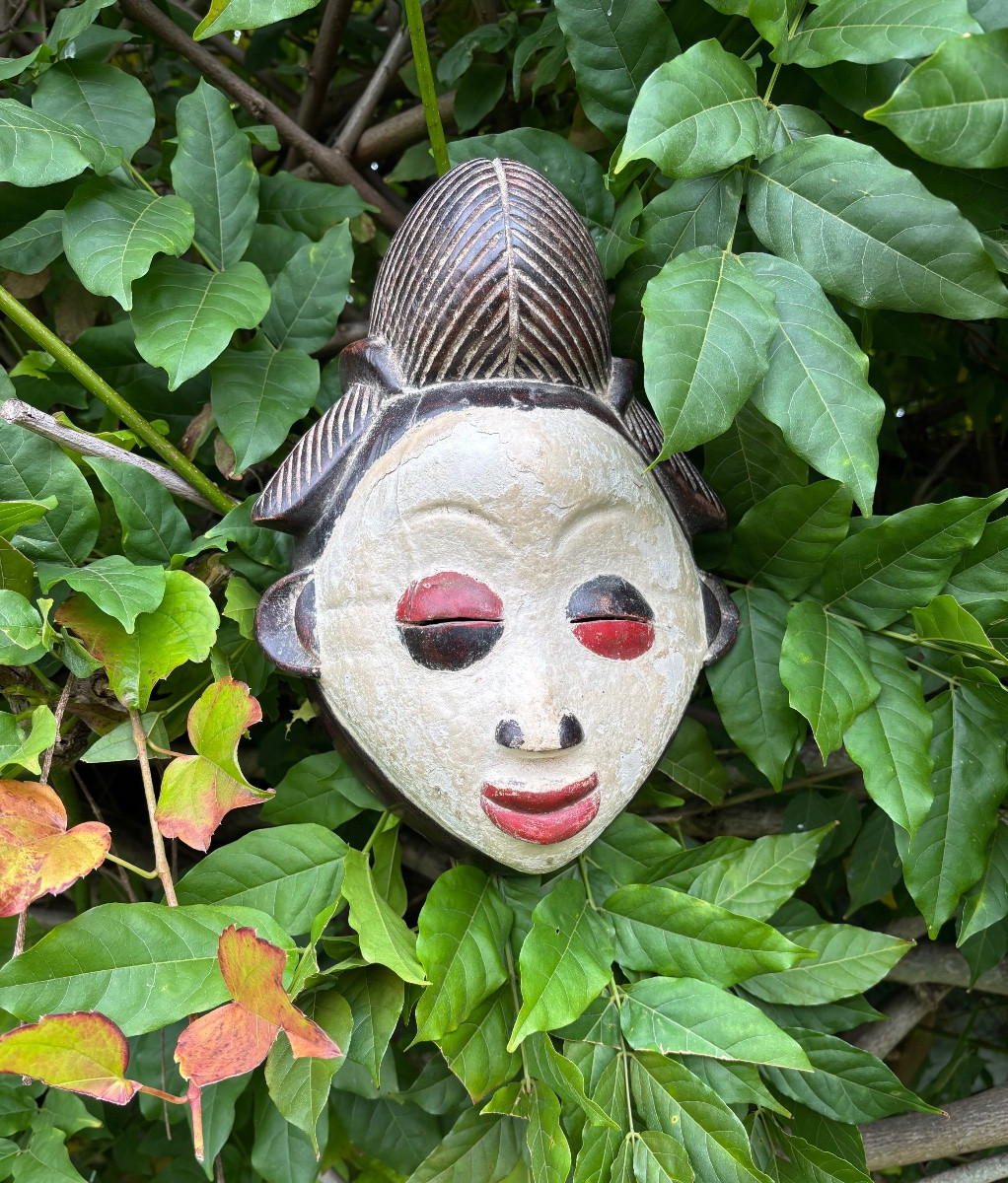 Gabon Masque Punu 20éme Siècle -photo-4