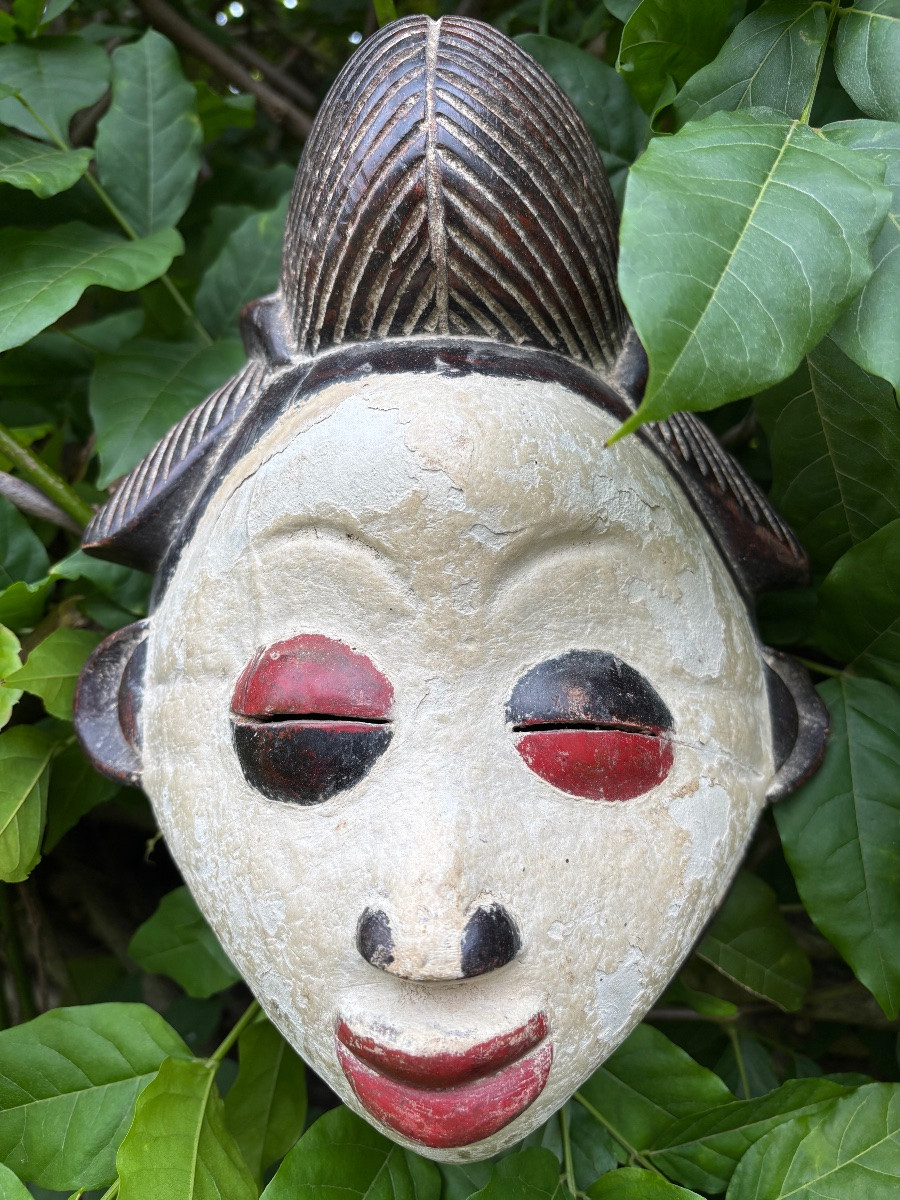 Gabon Masque Punu 20éme Siècle -photo-7