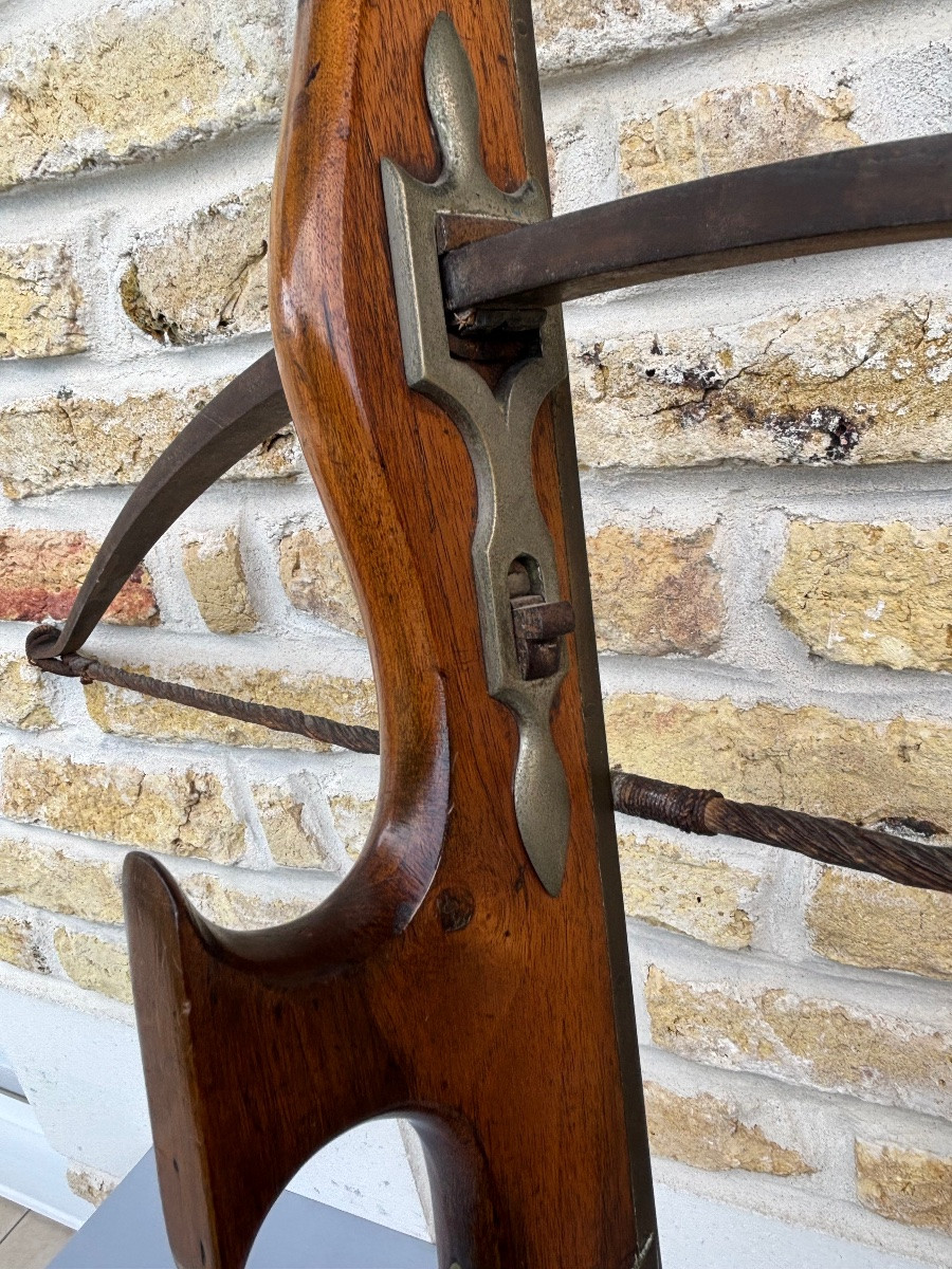 19th Century Flanders Shooting Crossbow -photo-3
