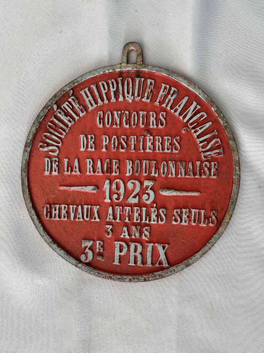 Equestrian Plaque: Boulonnaise Breed Competition, Early 20th Century -photo-4