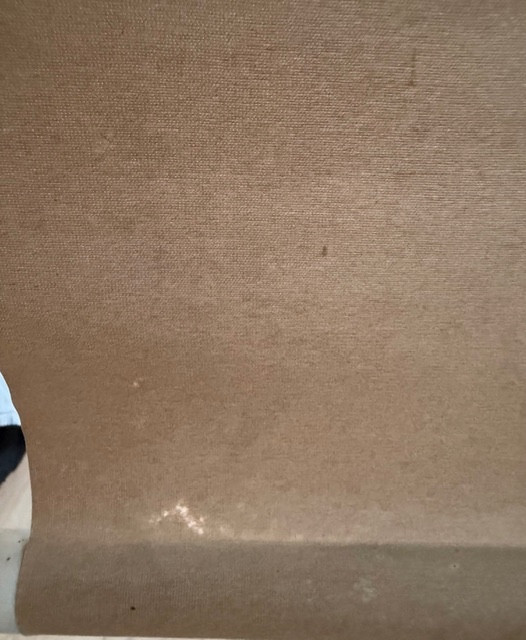 Tiger Kakemono -photo-4