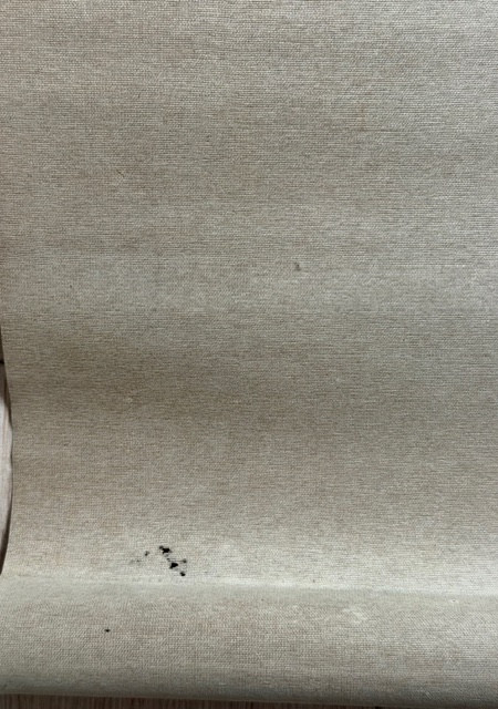 Tiger Kakemono -photo-5