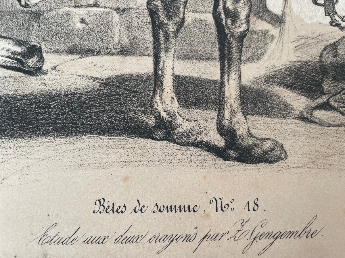 Lithographie Orientaliste avec des Rehauts « Bêtes de Somme »-photo-1