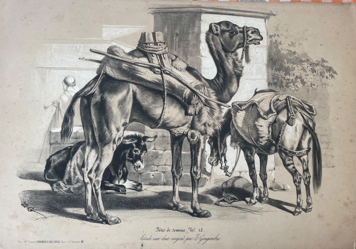 Lithographie Orientaliste avec des Rehauts « Bêtes de Somme »-photo-2
