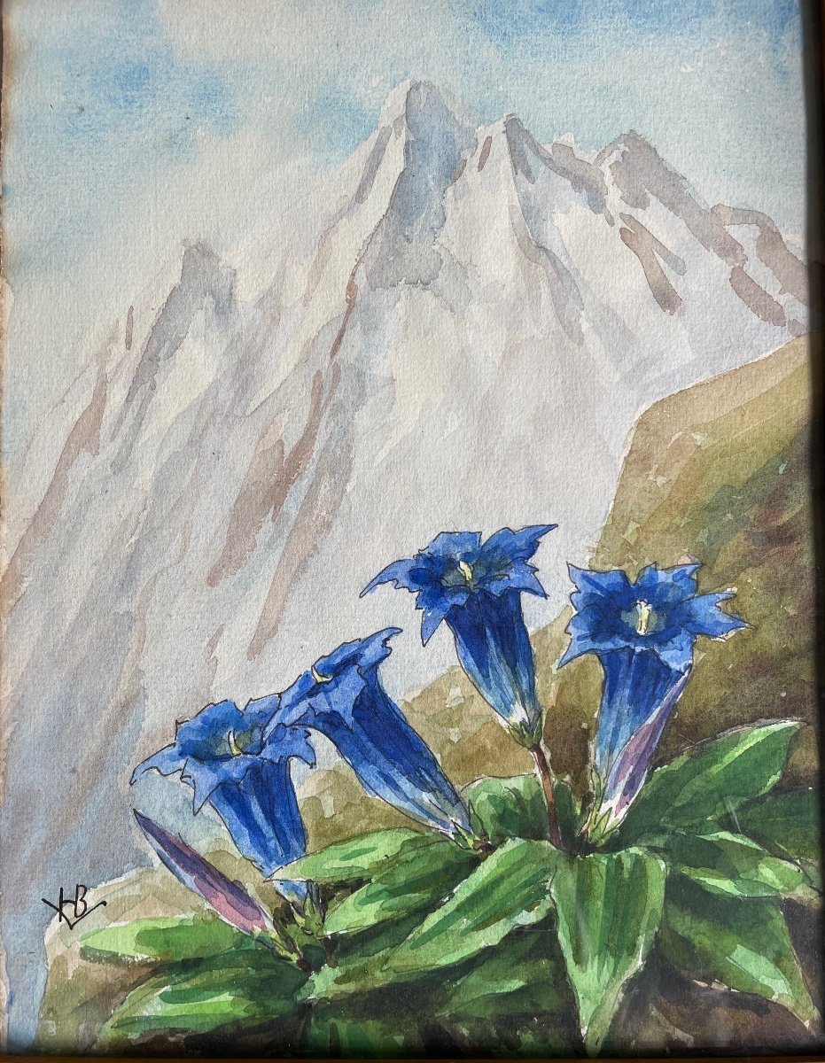 Watercolor Henriette De Vendôme (1870-1948) “gentians On A Mountain Background”-photo-2