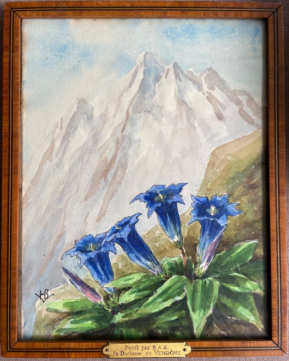 Watercolor Henriette De Vendôme (1870-1948) “gentians On A Mountain Background”