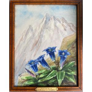 Watercolor Henriette De Vendôme (1870-1948) “gentians On A Mountain Background”
