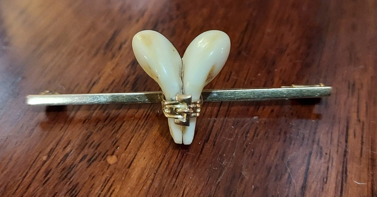 Broche De Chasse Attribué à Hermes Or Et Dent De Cerf 