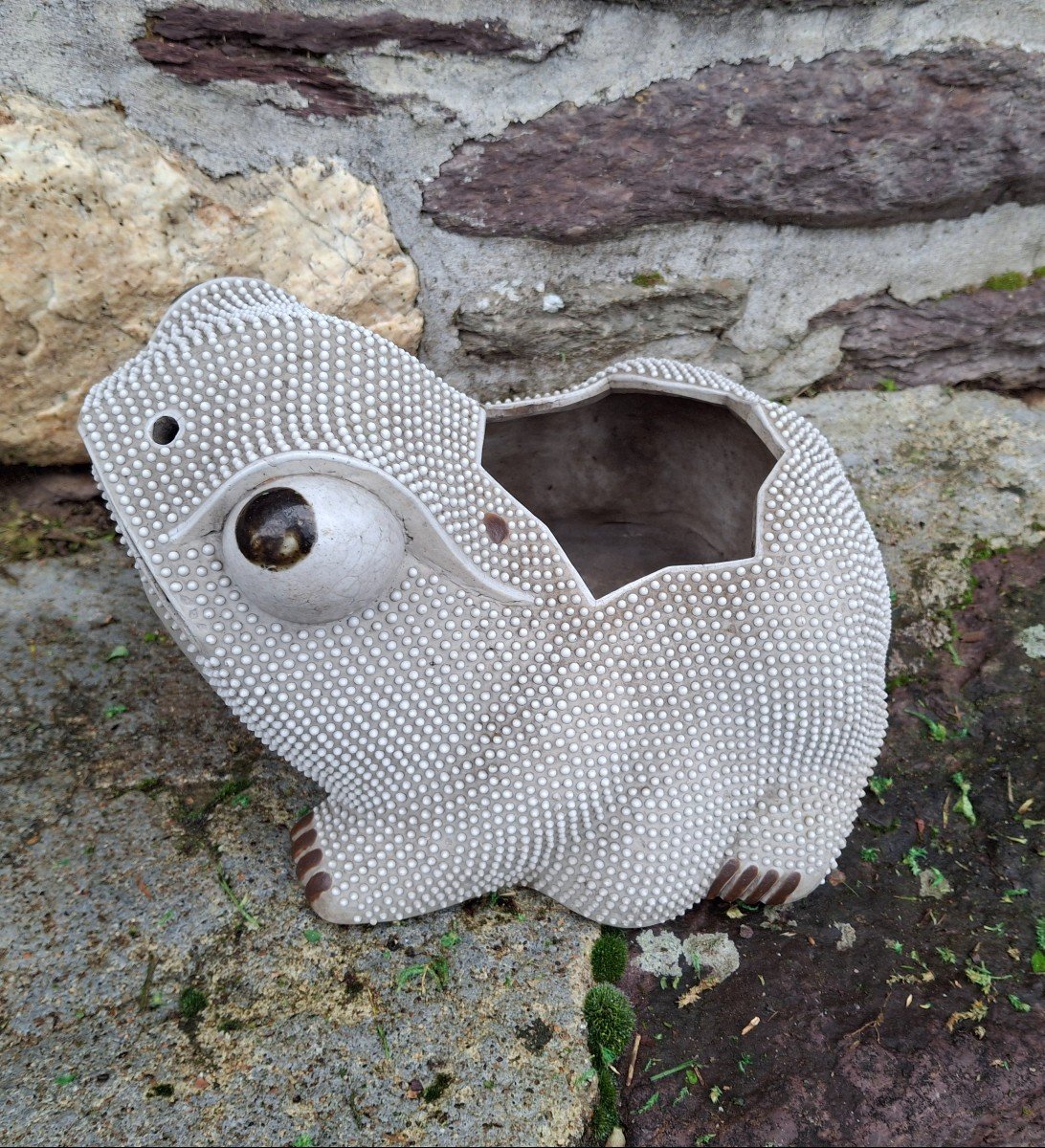 Grenouille En Porcelaine Chine Dynastie Qing-photo-1