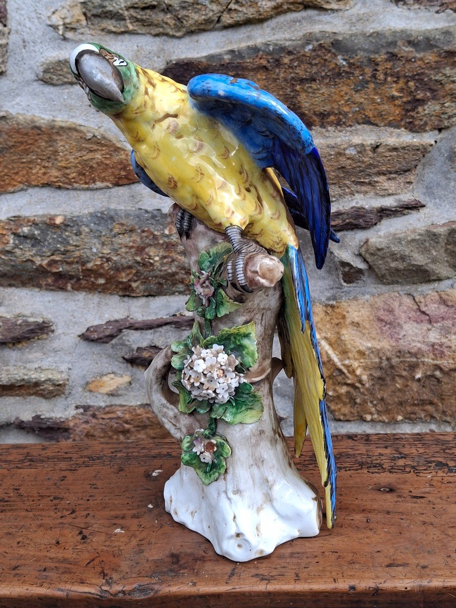 Grand Perroquet En Porcelaine De Sitzendorf -photo-2