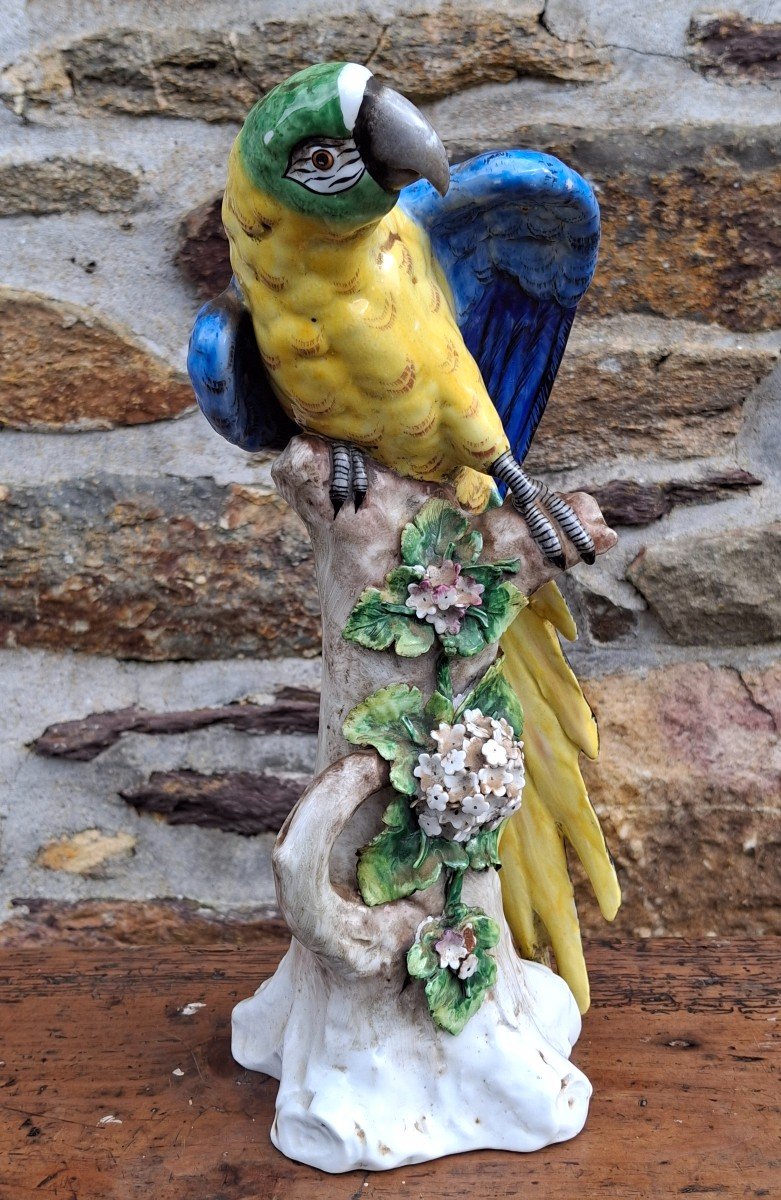 Grand Perroquet En Porcelaine De Sitzendorf 