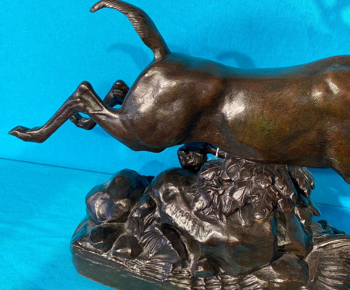 Bronze A L Barye Cerf De Virginie-photo-3
