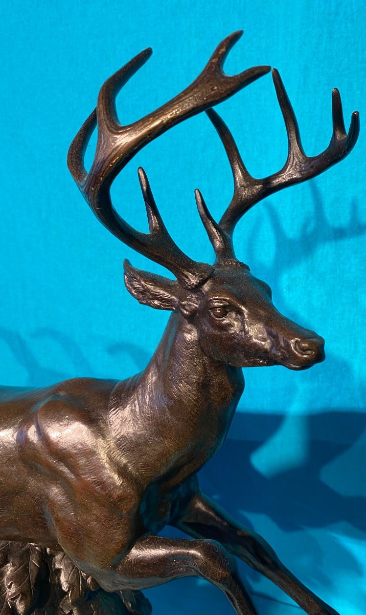 Bronze A L Barye Cerf De Virginie-photo-4