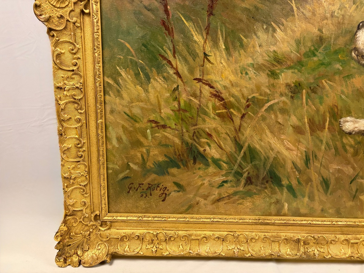 Rotig Hunting Scene: 4 Griffon Vendéen Dogs And Roe Deer -photo-3