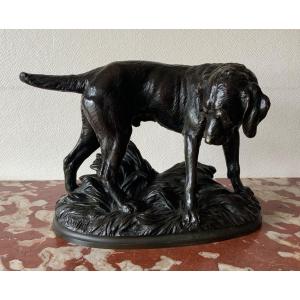 Bronze Truffot Korthal Griffon Dog Standing 