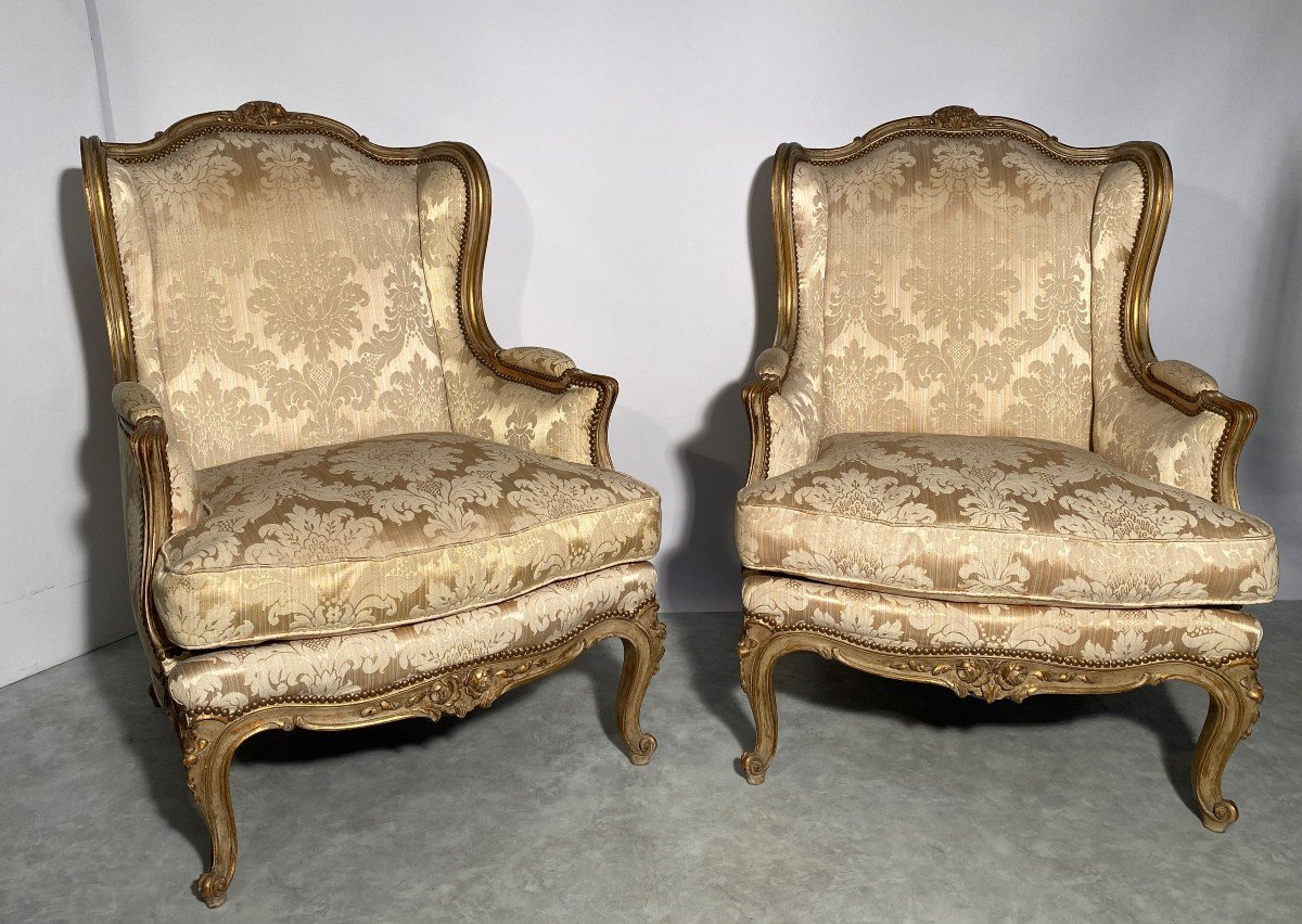 Paire De Bergères Et Un Canapé, Tissus En Coton et viscose façon Soie, Style Louis XV. 