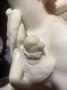 1192383-alb-6502dabc0d243.jpg
