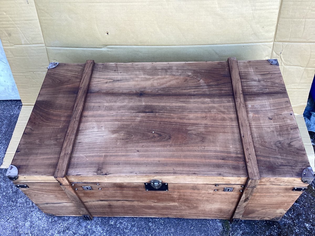 Trunk In Camphor-photo-2