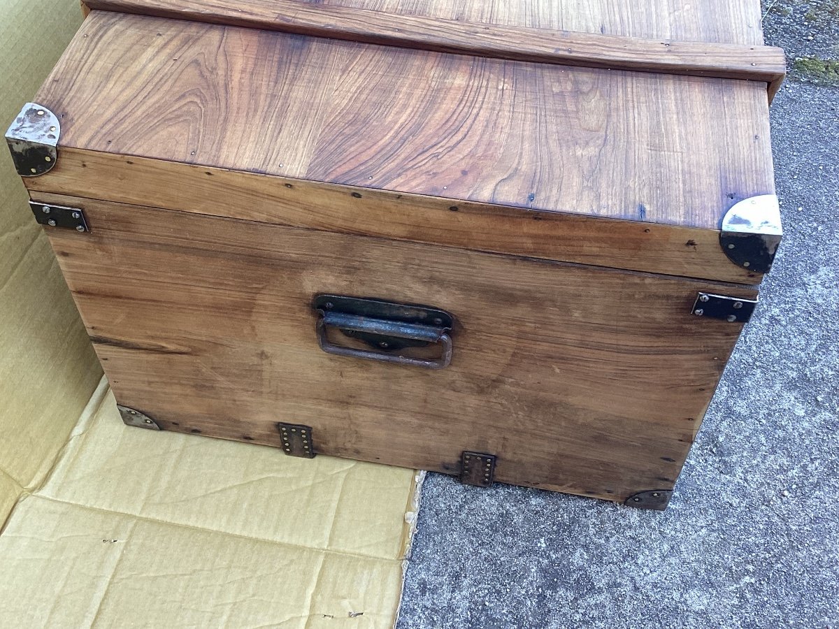 Trunk In Camphor-photo-2