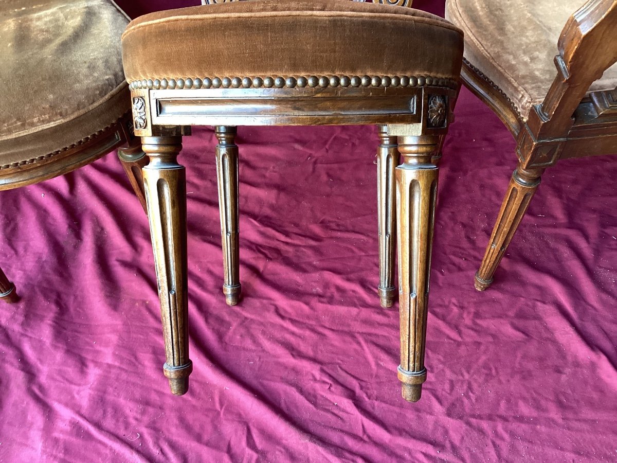 Series Of Six Lyre Back Chairs -photo-4