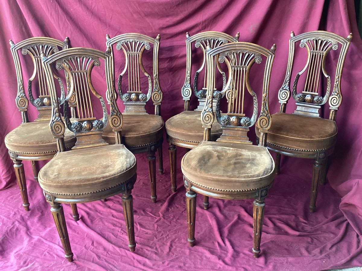 Series Of Six Lyre Back Chairs -photo-5